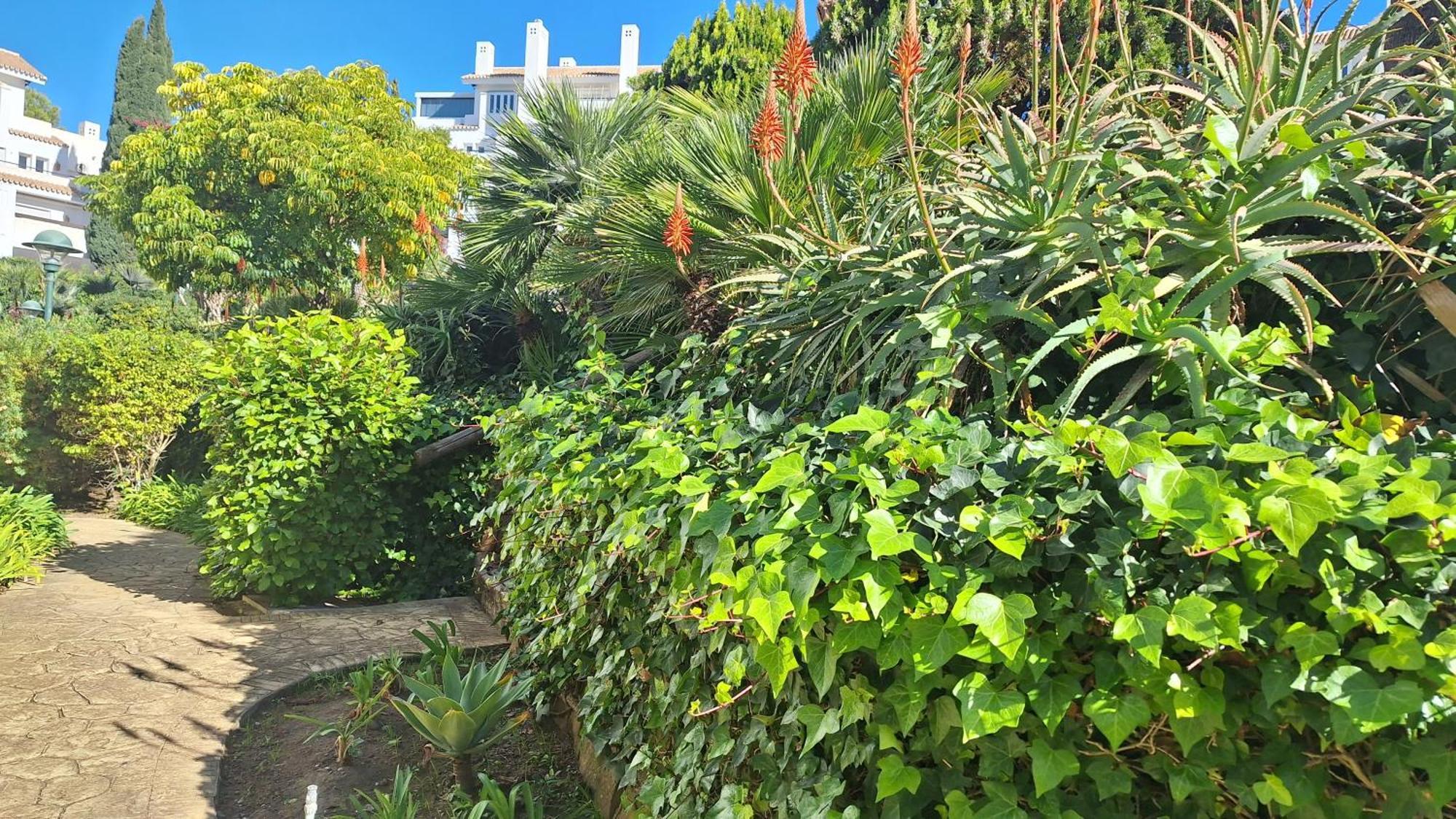 Apartament Living Marbella